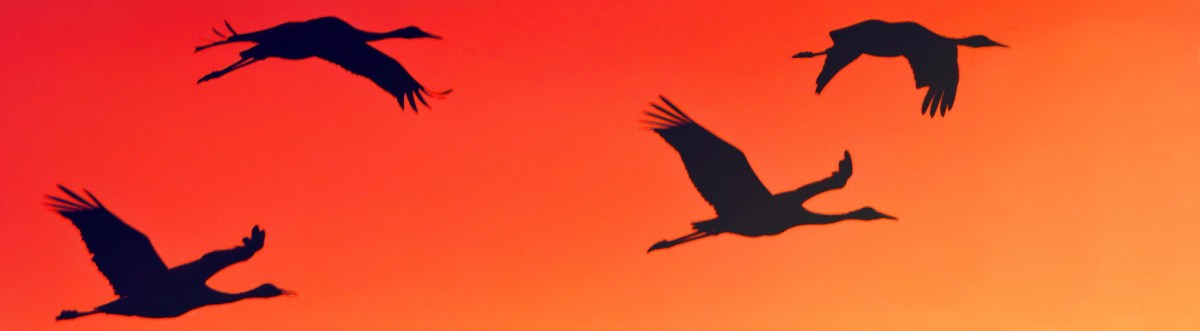 Add Index with Include Entity Framework&nbsp;Core